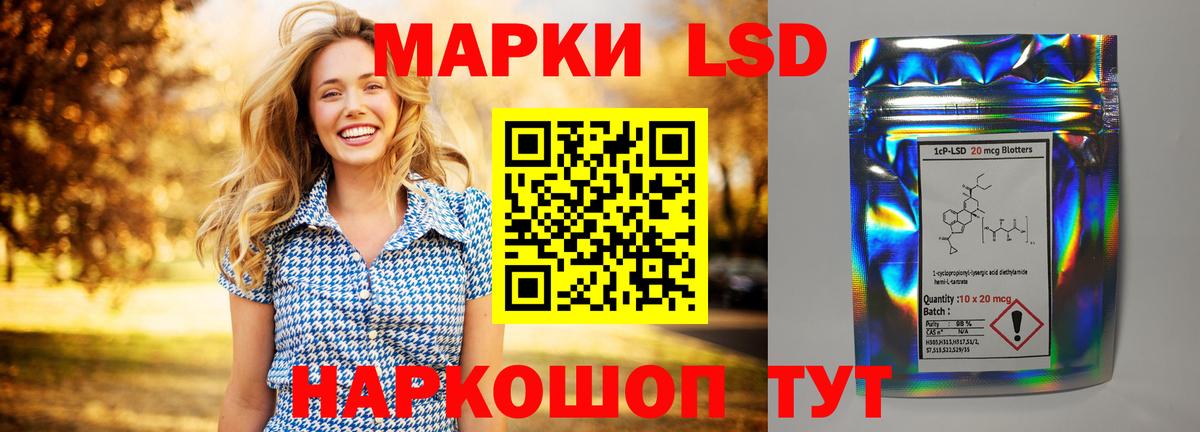 МЕФ Сызрань